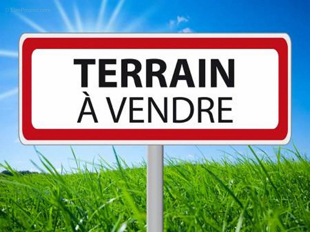 Terrain à vendre sur targa